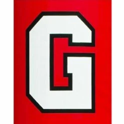 Top 10 🔔 Fisher 2 COLOR Traditional Vinyl Lettering for Football Goal Post Pads 😍