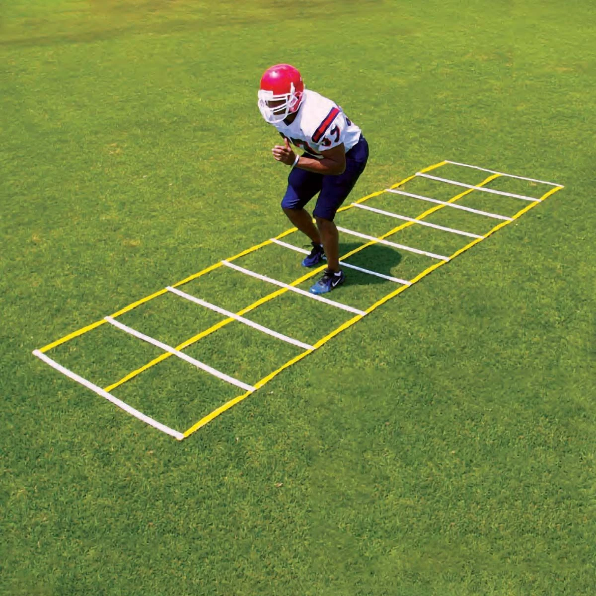 Hot Sale ⭐ Fisher 15' Double Speed Ladder, AGL4815 ⌛ 1 Hot Sale ⭐ Fisher 15' Double Speed Ladder, AGL4815 ⌛