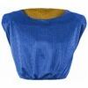Best reviews of ✔️ Champro Reversible Football Scrimmage Vest, FV2 Royal/Athletic Gold ❤️