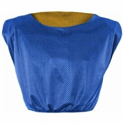 Best reviews of ✔️ Champro Reversible Football Scrimmage Vest, FV2 Royal/Athletic Gold ❤️